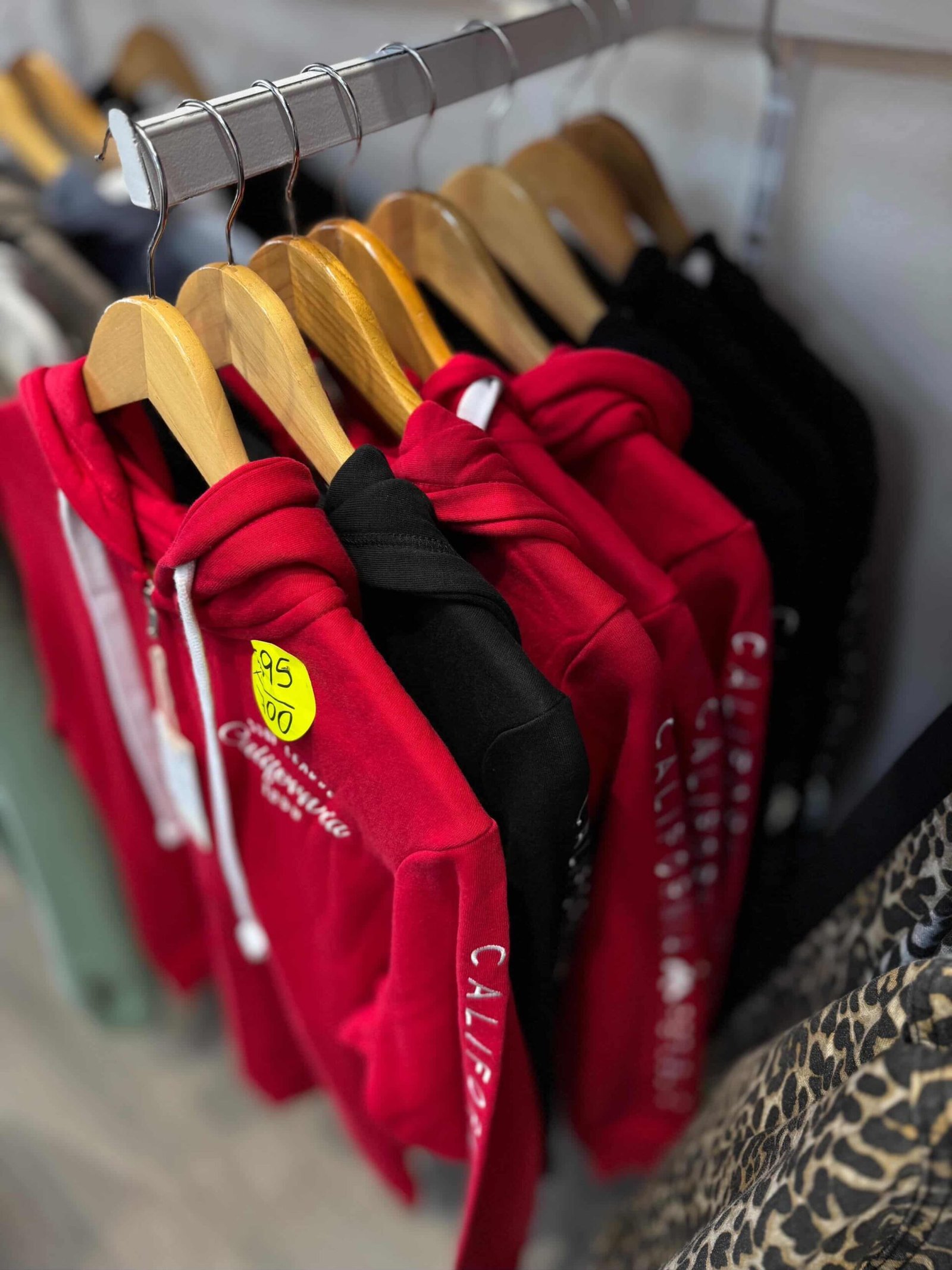 Campera California - Imagen 3